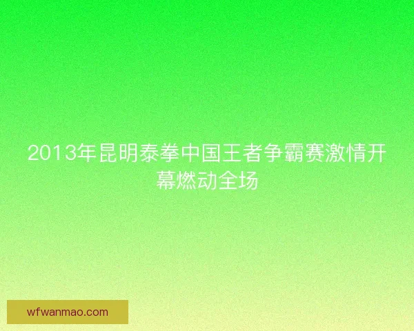 2013年昆明泰拳中国王者争霸赛激情开幕燃动全场